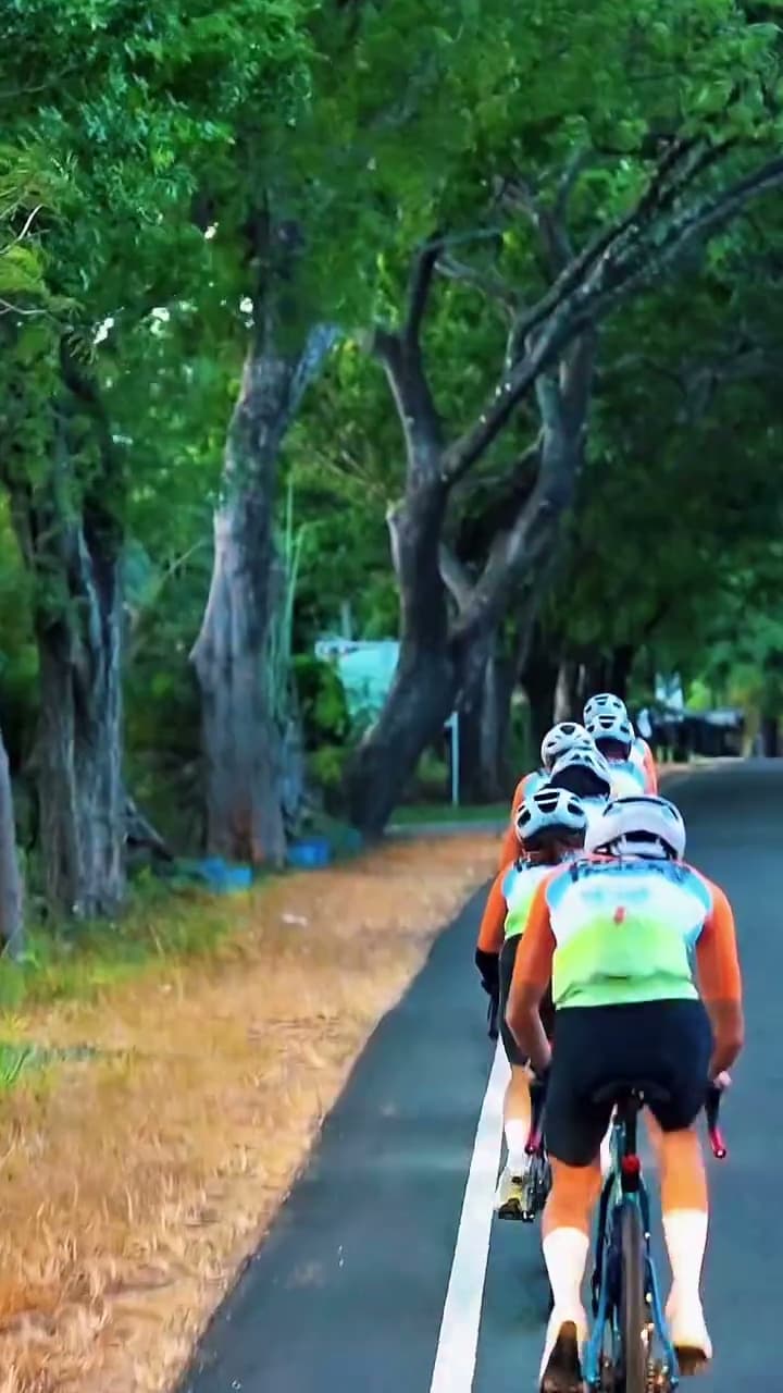 Cyclists Under Tree Canopy