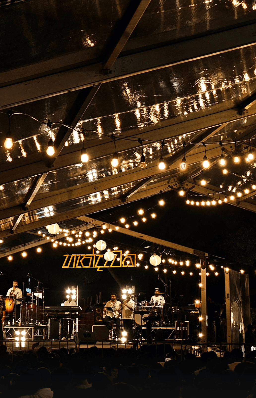 Festoon Lights & Night Canopy