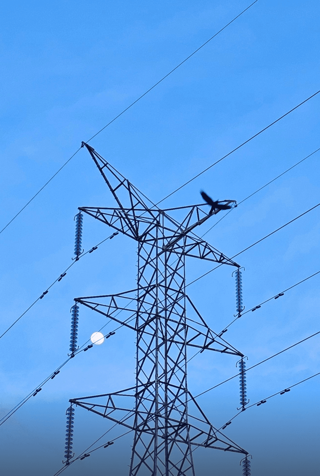 Power Transmission Pylon