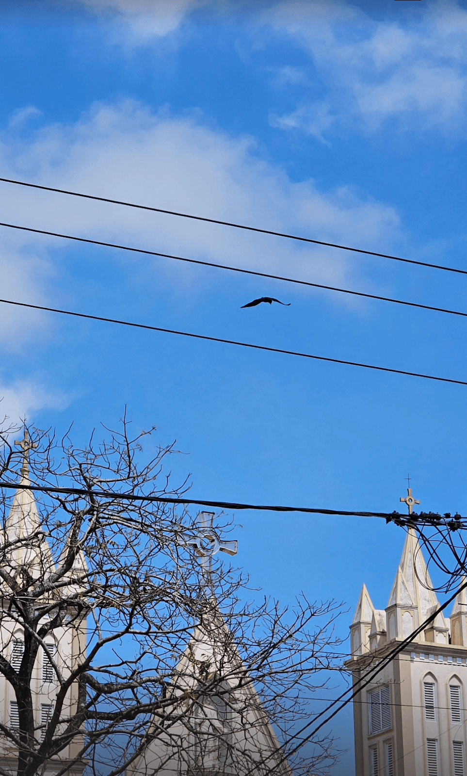 Gothic Spire & Wire Grid